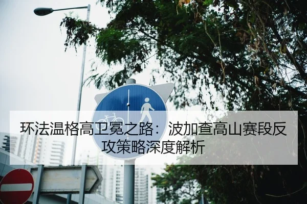 环法温格高卫冕之路：波加查高山赛段反攻策略深度解析