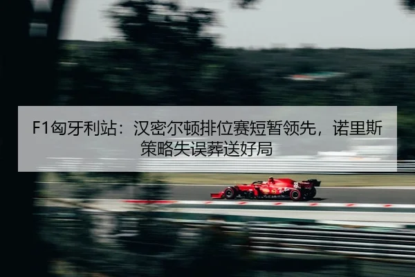 xiong-ya-li-zhan-han-mi-er-dun-pai-wei-sai-duan-zan-ling-xian-nuo-li-si-ce-lve-shi-wu-zang-song-hao-ju-2-701.jpg