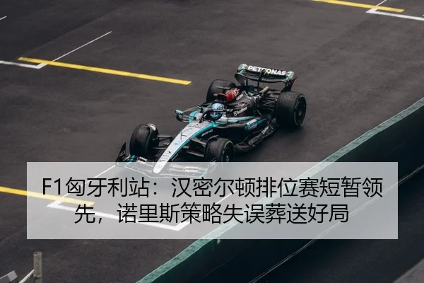xiong-ya-li-zhan-han-mi-er-dun-pai-wei-sai-duan-zan-ling-xian-nuo-li-si-ce-lve-shi-wu-zang-song-hao-ju-3-671.jpg