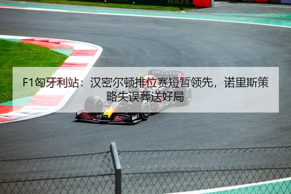F1匈牙利站：汉密尔顿排位赛短暂领先，诺里斯策略失误葬送好局