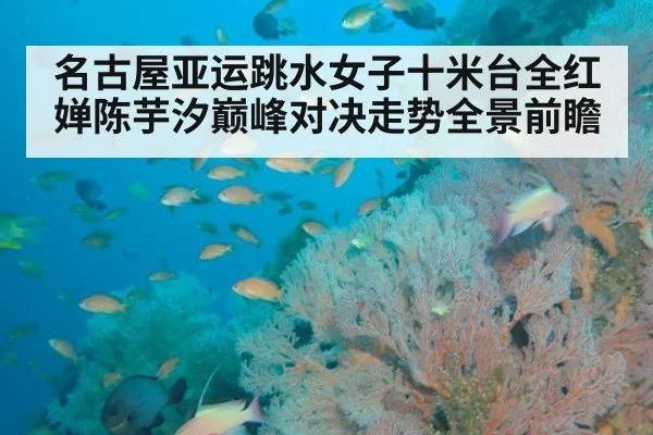 名古屋亚运跳水女子十米台全红婵陈芋汐巅峰对决走势全景前瞻